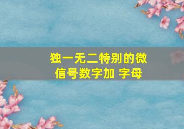 独一无二特别的微信号数字加 字母